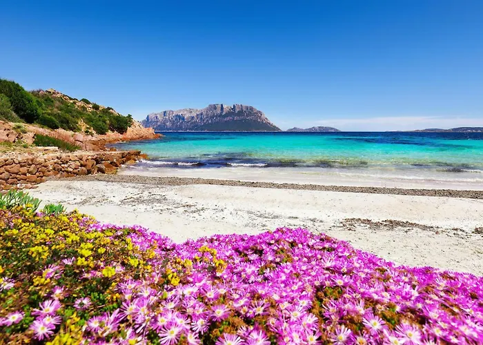 Scacciapensieri - Happy *